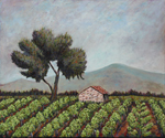 Tree in French Vineyard